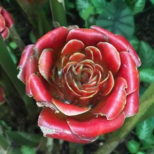 Meet your Posher, Sofia